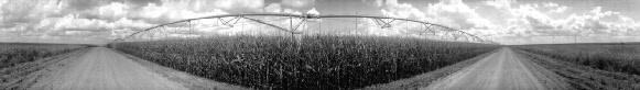 144 Center Pivot Irrigation Near Atwood, Kansas ( 2005 )