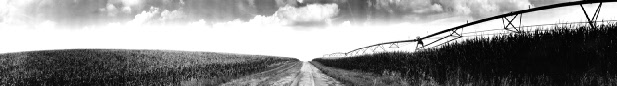 86 Road and Center Pivot Irrigation Near Friend, Nebraska ( 2016)