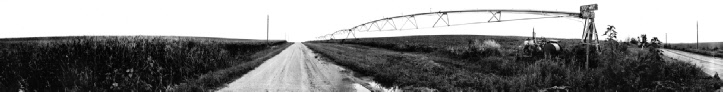 143 Road And Center Pivot Irrigation Near Fullerton, Nebraska ( 2015 )