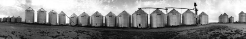 47 Grain Bins Near Hebron, North Dakota (2002)