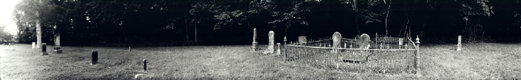 159 Old Pleasant Park Cemetery Near DeWitt, Missouri ( 2022 )