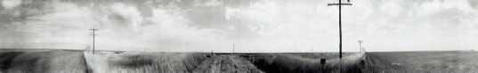 40 Telegraph Poles Near Shields, Kansas  no.2 (2003)